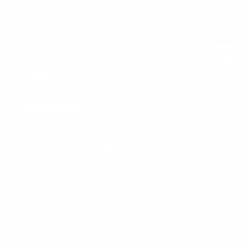 Logo animé SI PROJECT